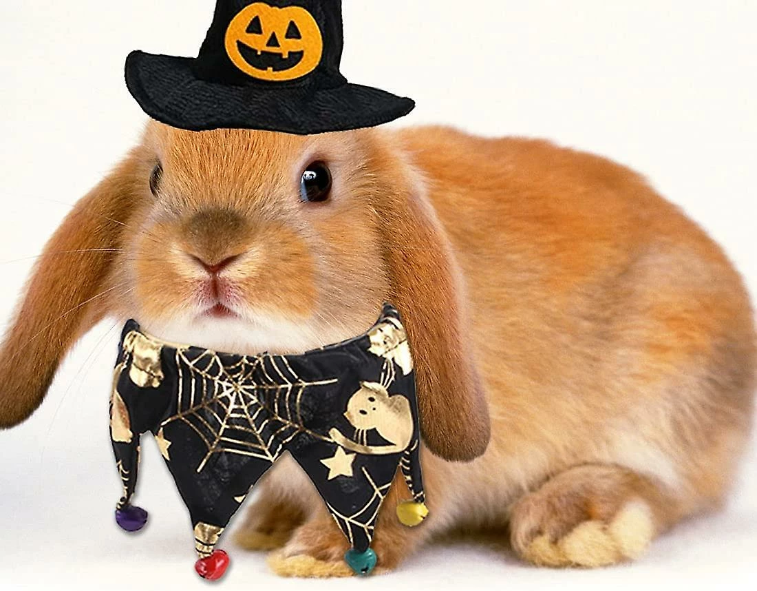 Unbranded Pet Halloween Costumes, 2 Piece Dog Cat Bandana Neck With Bells Wizard Hat Adjustable Pet Cosplay Halloween Party Pet Costume 5 Unbranded Pet Halloween Costumes, 2 Piece Dog Cat Bandana Neck With Bells Wizard Hat Adjustable Pet Cosplay Halloween Party Pet Costume â Image 5