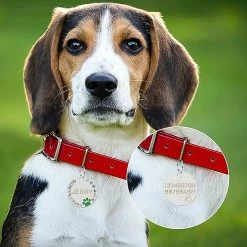 Dog Toys 2 Pièces Heilwiy De Plaques D’identité Avec Gravure. Adresse Tag Dog Dog Tag Cadeau Personnalisé Pet Id -nourriture pour chien boutique 496011851 max
