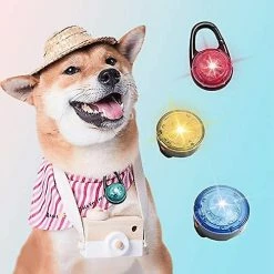 Dog Toys 1 Pièce Led Dog Trailer Light Pendentif Led Pendentif Lumière Colliers Led Heilwiy Cadeau -nourriture pour chien boutique 496011975 max