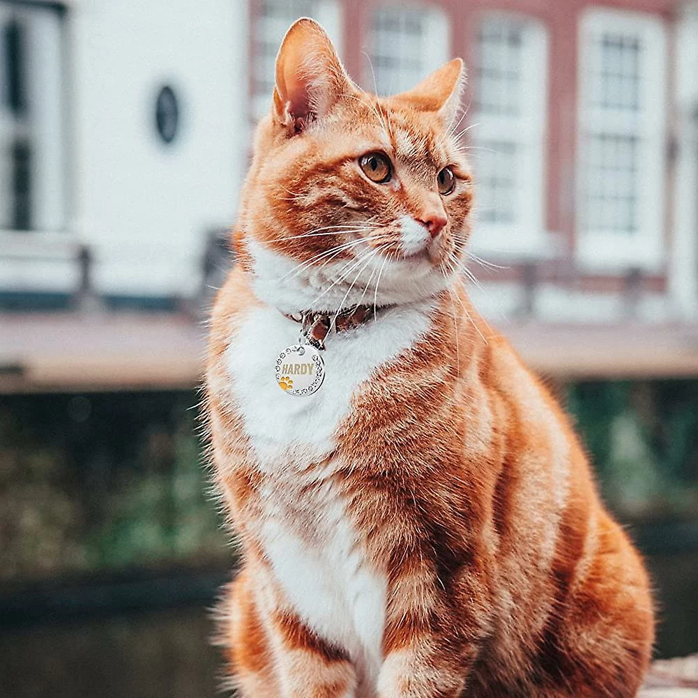 Dog Toys 2 Pièces Heilwiy De Plaques D’identité Avec Gravure. Adresse Tag Dog Dog Tag Cadeau Personnalisé Pet Id 5 Dog Toys 2 Pièces Heilwiy De Plaques D’identité Avec Gravure. Adresse Tag Dog Dog Tag Cadeau Personnalisé Pet Id – Image 5