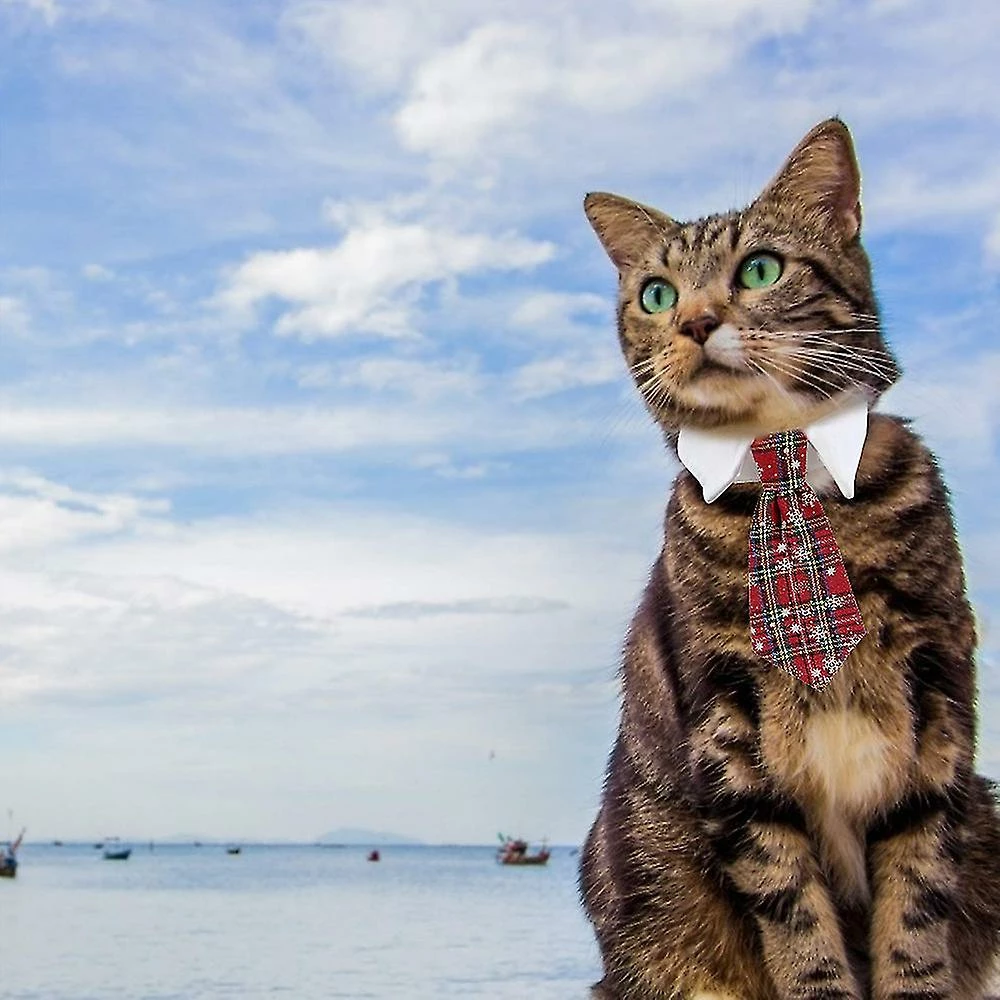 Redmiter Pet Tie Dog Tie Réglable Costume Dog Collar Ties Party Accessoires Costume De Noël 4 Redmiter Pet Tie Dog Tie Réglable Costume Dog Collar Ties Party Accessoires Costume De Noël – Image 4