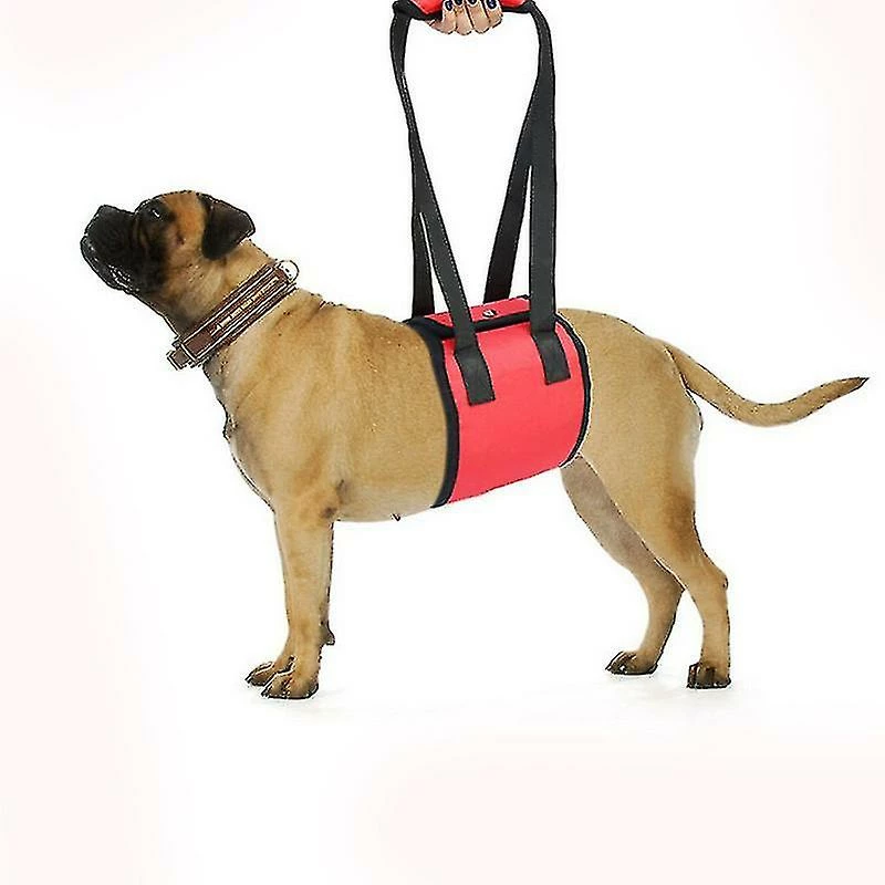 Shiyi Yiyi Dog Sling Pour Pattes Arrière Aide Les Chiens âgés à Mobilité Réduite - Dog Support Dog Lift Harness-sizel 3 Shiyi Yiyi Dog Sling Pour Pattes Arrière Aide Les Chiens âgés à Mobilité Réduite - Dog Support Dog Lift Harness-sizel – Image 3
