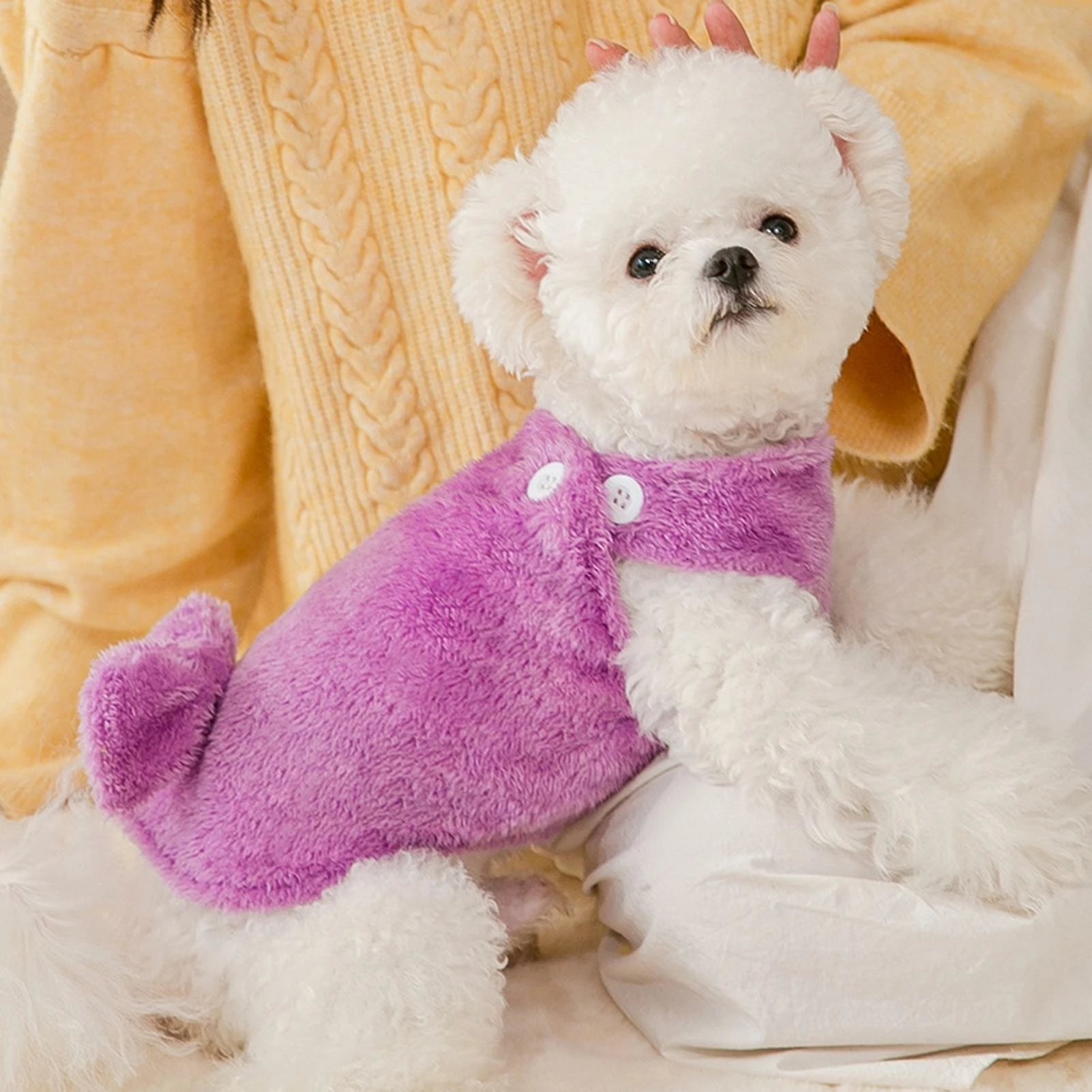 Unbranded Pet Vest Clothes Bow Knot Design Skin-friendly Épaississant Pet Dog Gilet à Deux Pattes Manteau Puppy Costume Jikaix 3 Unbranded Pet Vest Clothes Bow Knot Design Skin-friendly Épaississant Pet Dog Gilet à Deux Pattes Manteau Puppy Costume Jikaix – Image 3