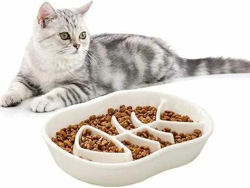 Unbranded White Ceramic Slow Feeder Cat Dog Bowls - Conception Unique Fishbone Fun -nourriture pour chien boutique 506035963 max