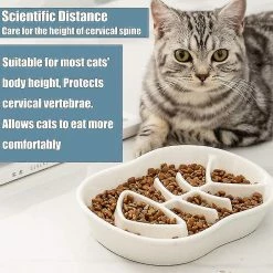 Unbranded White Ceramic Slow Feeder Cat Dog Bowls - Conception Unique Fishbone Fun -nourriture pour chien boutique 506036000 max