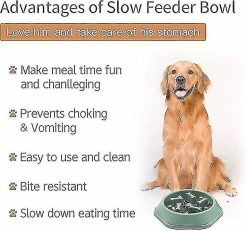 Shiyi Dog Bowl Dog Slow Feeder Bowls Bloat Stop Food Bowl Puzzle Interactif Healthy Eating Bowl (bleu)yiyi 6 Shiyi Dog Bowl Dog Slow Feeder Bowls Bloat Stop Food Bowl Puzzle Interactif Healthy Eating Bowl (bleu)yiyi -nourriture pour chien boutique 506665469 max