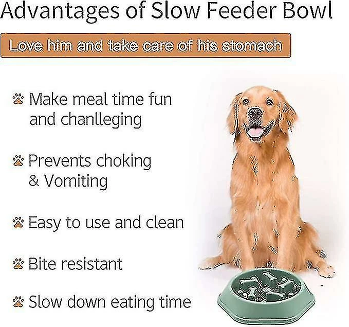 Shiyi Dog Bowl Dog Slow Feeder Bowls Bloat Stop Food Bowl Puzzle Interactif Healthy Eating Bowl (bleu)yiyi 3 Shiyi Dog Bowl Dog Slow Feeder Bowls Bloat Stop Food Bowl Puzzle Interactif Healthy Eating Bowl (bleu)yiyi – Image 3