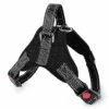 Unbranded Pet Dog Leash Traction Harnais De Poitrine Drag Antidéflagrant Black-xl Aespa