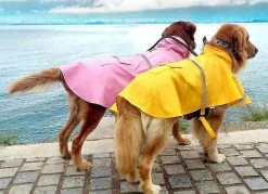 Unbranded Imperméable Réglable Pet Dog Hooded Imperméable Reflective Dog Rain Coat Jacket Dog Rain Clo -nourriture pour chien boutique 507657220 max
