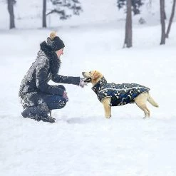 Unbranded Manteau De Chien De Chat De Compagnie. Warm Dog Jumpers Hiver Petit Moyen Grand Chien Vestes Gilet 7 Unbranded Manteau De Chien De Chat De Compagnie. Warm Dog Jumpers Hiver Petit Moyen Grand Chien Vestes Gilet -nourriture pour chien boutique 507661012 max