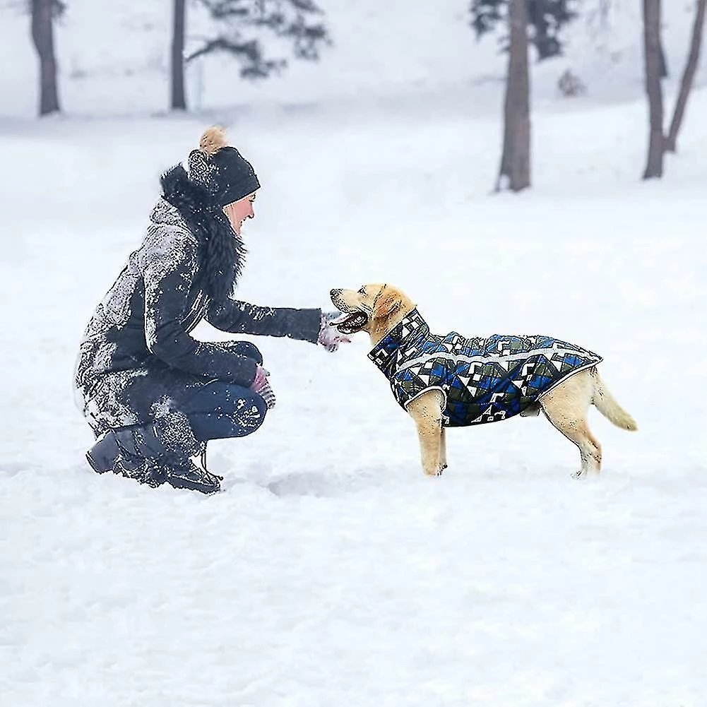 Unbranded Manteau De Chien De Chat De Compagnie. Warm Dog Jumpers Hiver Petit Moyen Grand Chien Vestes Gilet 3 Unbranded Manteau De Chien De Chat De Compagnie. Warm Dog Jumpers Hiver Petit Moyen Grand Chien Vestes Gilet – Image 3