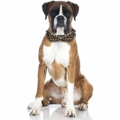 Knpht Halloween Dog Collar Strap Removable Cute Bow Tie Réglable Pet Collar -nourriture pour chien boutique 509231328 max