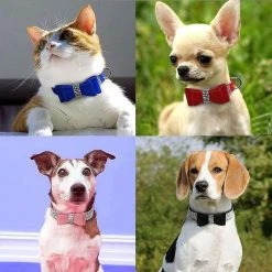 Aowear Strass Bowknot Pet Dog Collier Réglable Sparkly Crystal Studded Velvet -nourriture pour chien boutique 510015268 max 1