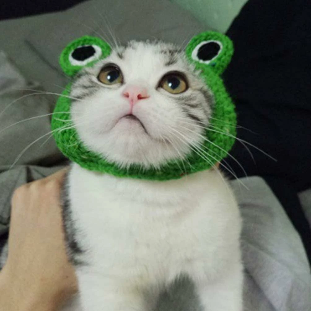 Aowear Chien Chat Pet Hat Tricoté à La Main Chapeau De Laine Pour Chiot Teddy Cartoon Frog Dog Cat 2 Aowear Chien Chat Pet Hat Tricoté à La Main Chapeau De Laine Pour Chiot Teddy Cartoon Frog Dog Cat – Image 2