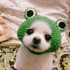 Aowear Chien Chat Pet Hat Tricoté à La Main Chapeau De Laine Pour Chiot Teddy Cartoon Frog Dog Cat 7 Aowear Chien Chat Pet Hat Tricoté à La Main Chapeau De Laine Pour Chiot Teddy Cartoon Frog Dog Cat -nourriture pour chien boutique 510021718 max