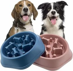 Aowear Dog Bowl Slow Feeder Dog Bowls Petit Chien Slow Feeding Dogs Bowl Slow Eating Dog Slow