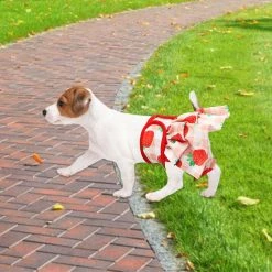 Unbrand 3 Pack Couches Pour Chiens Femelles Couches Souples Pour Chiens Avec 4 Couches Pour Fille Dog In Period Heat -nourriture pour chien boutique 514754873 max