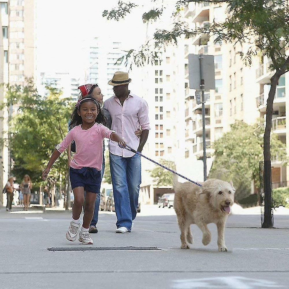 Unbranded 5 Feet Adjustable Nylon Dog Leash For Small Medium Dogs, Dog Training Leash, Pet Slipknot Leash, B 1 Unbranded 5 Feet Adjustable Nylon Dog Leash For Small Medium Dogs, Dog Training Leash, Pet Slipknot Leash, B