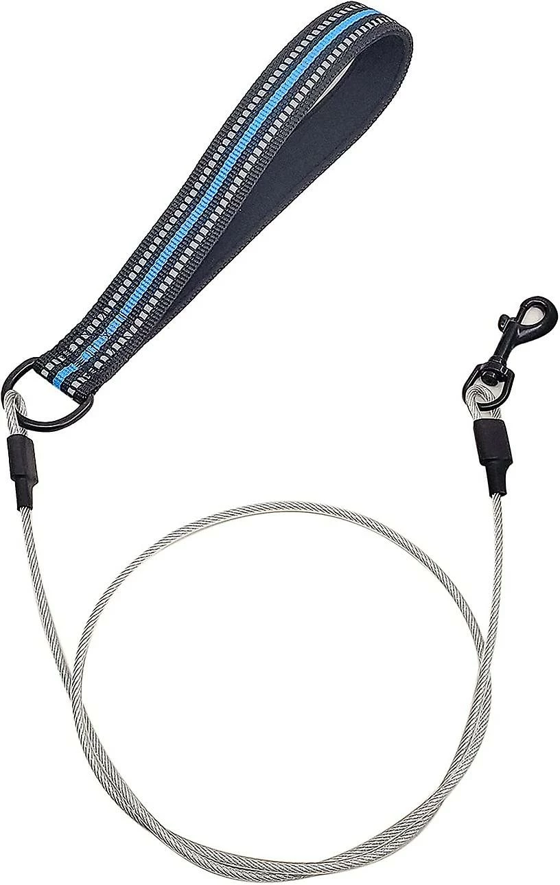 DEWENWILS Dww-dog Chew Leash Avec Poignée Rembourrée, Câble Métallique Pour Petits, Moyens Et Grands Chiens (bleu) 1 DEWENWILS Dww-dog Chew Leash Avec Poignée Rembourrée, Câble Métallique Pour Petits, Moyens Et Grands Chiens (bleu)