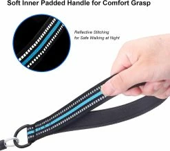 DEWENWILS Dww-dog Chew Leash Avec Poignée Rembourrée, Câble Métallique Pour Petits, Moyens Et Grands Chiens (bleu) 7 DEWENWILS Dww-dog Chew Leash Avec Poignée Rembourrée, Câble Métallique Pour Petits, Moyens Et Grands Chiens (bleu) -nourriture pour chien boutique 523261764 max