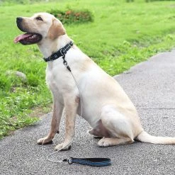 DEWENWILS Dww-dog Chew Leash Avec Poignée Rembourrée, Câble Métallique Pour Petits, Moyens Et Grands Chiens (bleu) 8 DEWENWILS Dww-dog Chew Leash Avec Poignée Rembourrée, Câble Métallique Pour Petits, Moyens Et Grands Chiens (bleu) -nourriture pour chien boutique 523261945 max