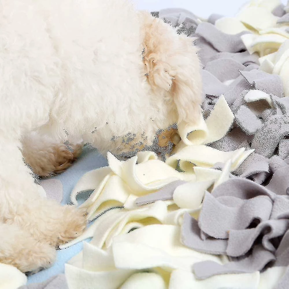 Unbranded Tlmccf Chien Reniflant Tapis Intelligence Jouet, Renifler Pelouse Dog Toy Favorise La Recherche Naturelle De Nourriture, Odeur De Chien 4 Unbranded Tlmccf Chien Reniflant Tapis Intelligence Jouet, Renifler Pelouse Dog Toy Favorise La Recherche Naturelle De Nourriture, Odeur De Chien â Image 4