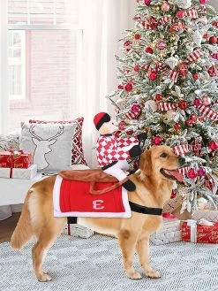 Unbranded Pet Dog Drôles Vêtements Chiens Cosplay Costume Halloween Noël Comiques Tenues Dog Festival Party Vêtements -nourriture pour chien boutique 525899242 max