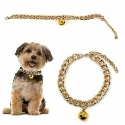 Aswei Pas De Discration Dog Gold Chain Premium Pet Chain Cat Collar Avec Cloche En Aluminium -nourriture pour chien boutique 526144591 max