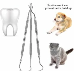 Lequeen Pcs Dog Teeth Cleaner And Scraper Acier Inoxydable Double Ended Tooth Grinder Scraper Pet Teeth Cleaning Tool For Dogs And Cats (argent) 6 Lequeen Pcs Dog Teeth Cleaner And Scraper Acier Inoxydable Double Ended Tooth Grinder Scraper Pet Teeth Cleaning Tool For Dogs And Cats (argent) -nourriture pour chien boutique 528912544 max