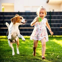 Unbranded Dog Toy Ball, Non-toxic Anti-bite Dog Chew Ball Food Snack Feeder Teeth Cleaning Practice 8 Unbranded Dog Toy Ball, Non-toxic Anti-bite Dog Chew Ball Food Snack Feeder Teeth Cleaning Practice -nourriture pour chien boutique 529140552 max