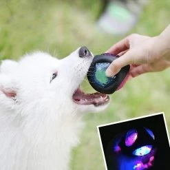 Unbranded Dog Ball Luminous Dog Toy Durable Elastic Rubber Ball Resistant Dog Ball Training -nourriture pour chien boutique 530106699 max