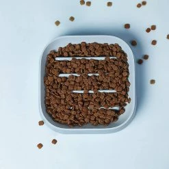 Unbranded Cat Bowl Anti Sip Dog Bowls Dog Bowl Cat Feeder Bowl Dog Bowls Anti-slip Fun Feeding Dog -nourriture pour chien boutique 531693657 max