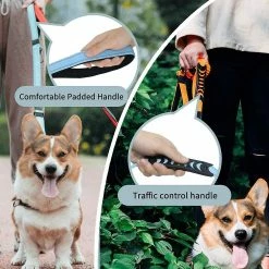 Unbranded Dog Leash Durable Nylon Material Dog Leash Reflective Elastic Shock Absorber Bon Pour Trai -nourriture pour chien boutique 531695731 max
