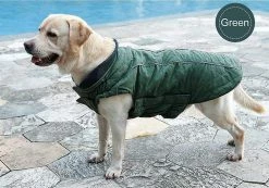 Unbranded Pet Jacket Dog Vêtements Déperlant Hiver Vêtements Chauds Gilet Réversible Vestes D’hiver 5 Unbranded Pet Jacket Dog Vêtements Déperlant Hiver Vêtements Chauds Gilet Réversible Vestes D’hiver -nourriture pour chien boutique 531696744 max