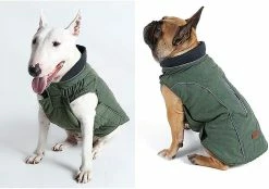 Unbranded Pet Jacket Dog Vêtements Déperlant Hiver Vêtements Chauds Gilet Réversible Vestes D’hiver 6 Unbranded Pet Jacket Dog Vêtements Déperlant Hiver Vêtements Chauds Gilet Réversible Vestes D’hiver -nourriture pour chien boutique 531696752 max