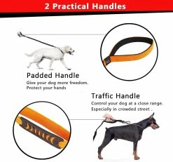 Unbranded Dog Leash Durable Nylon Material Dog Leash Reflective Elastic Shock Absorber Bon Pour Trai -nourriture pour chien boutique 531696976 max