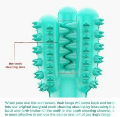 Unbranded Dog Tooth Cleaner Stick Pet Resistant Cactus Shape Tooth Cleaner Toothbrush Stick -nourriture pour chien boutique 531697395 max