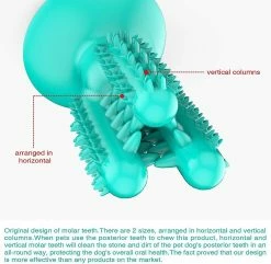 Unbranded Dog Tooth Cleaner Stick Pet Resistant Cactus Shape Tooth Cleaner Toothbrush Stick -nourriture pour chien boutique 531697410 max