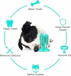 Unbranded Dog Tooth Cleaner Stick Pet Resistant Cactus Shape Tooth Cleaner Toothbrush Stick -nourriture pour chien boutique 531698010 max