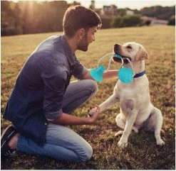 Unbranded Multifonction Pet Molar Toy Multifunction Toy Pour Puppy Dog Chew Rope Ball Toy -nourriture pour chien boutique 531701988 max