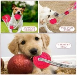Unbranded Multifonction Pet Molar Toy Multifunction Toy Pour Puppy Dog Chew Rope Ball Toy 6 Unbranded Multifonction Pet Molar Toy Multifunction Toy Pour Puppy Dog Chew Rope Ball Toy -nourriture pour chien boutique 531702777 max