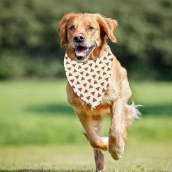 Unbranded 12 Pièces Dog Bandana Foulard Lavable Bavoirs Triangulaires Pet Réglable Lavable Kerchief Dog Bandana -nourriture pour chien boutique 535926313 max