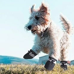 Unbranded Chaussures Pour Chien Pour Protecteur De Patte De Trottoir Chaud, Semelle Antidérapante été Cat Dog Boots Avec Sangles Réfléchissantes 4pcs -nourriture pour chien boutique 535927018 max