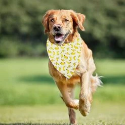 Unbranded 12 Pièces Dog Bandana Foulard Lavable Bavoirs Triangulaires Pet Réglable Lavable Kerchief Dog Bandana 7 Unbranded 12 Pièces Dog Bandana Foulard Lavable Bavoirs Triangulaires Pet Réglable Lavable Kerchief Dog Bandana -nourriture pour chien boutique 535927160 max