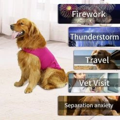 Unbranded Comfort Dog Anxiety Relief Coat, Dog Anxiety Calming Vest Wrap For Thunderstorm, Voyage, Feux D’artifice, Visites Chez Le Vétérinaire 7 Unbranded Comfort Dog Anxiety Relief Coat, Dog Anxiety Calming Vest Wrap For Thunderstorm, Voyage, Feux D’artifice, Visites Chez Le Vétérinaire -nourriture pour chien boutique 535927735 max