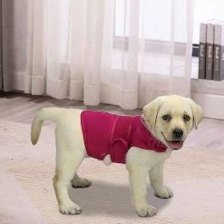 Unbranded Comfort Dog Anxiety Relief Coat, Dog Anxiety Calming Vest Wrap For Thunderstorm, Voyage, Feux D’artifice, Visites Chez Le Vétérinaire 8 Unbranded Comfort Dog Anxiety Relief Coat, Dog Anxiety Calming Vest Wrap For Thunderstorm, Voyage, Feux D’artifice, Visites Chez Le Vétérinaire -nourriture pour chien boutique 535927822 max