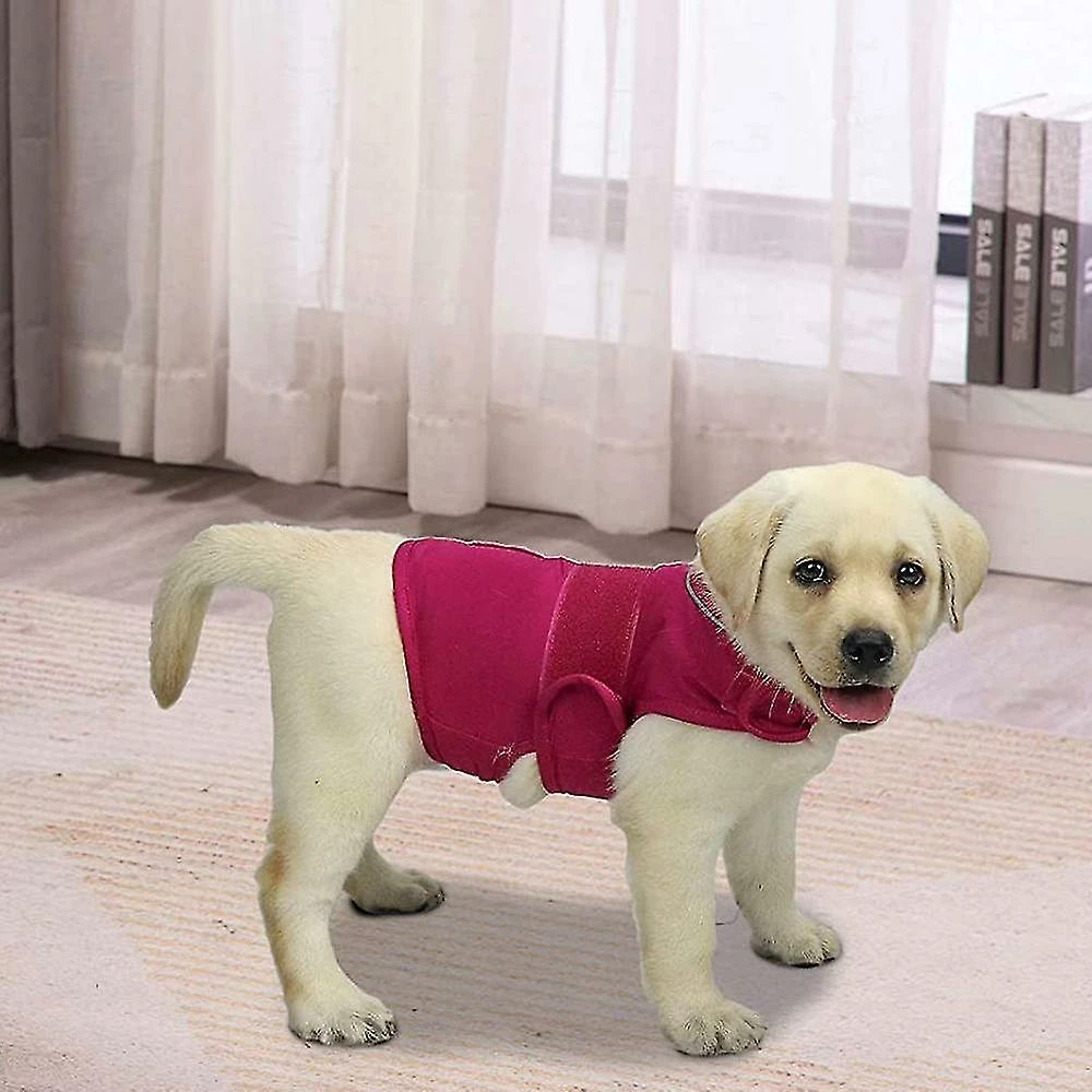 Unbranded Comfort Dog Anxiety Relief Coat, Dog Anxiety Calming Vest Wrap For Thunderstorm, Voyage, Feux D’artifice, Visites Chez Le Vétérinaire 4 Unbranded Comfort Dog Anxiety Relief Coat, Dog Anxiety Calming Vest Wrap For Thunderstorm, Voyage, Feux D’artifice, Visites Chez Le Vétérinaire – Image 4