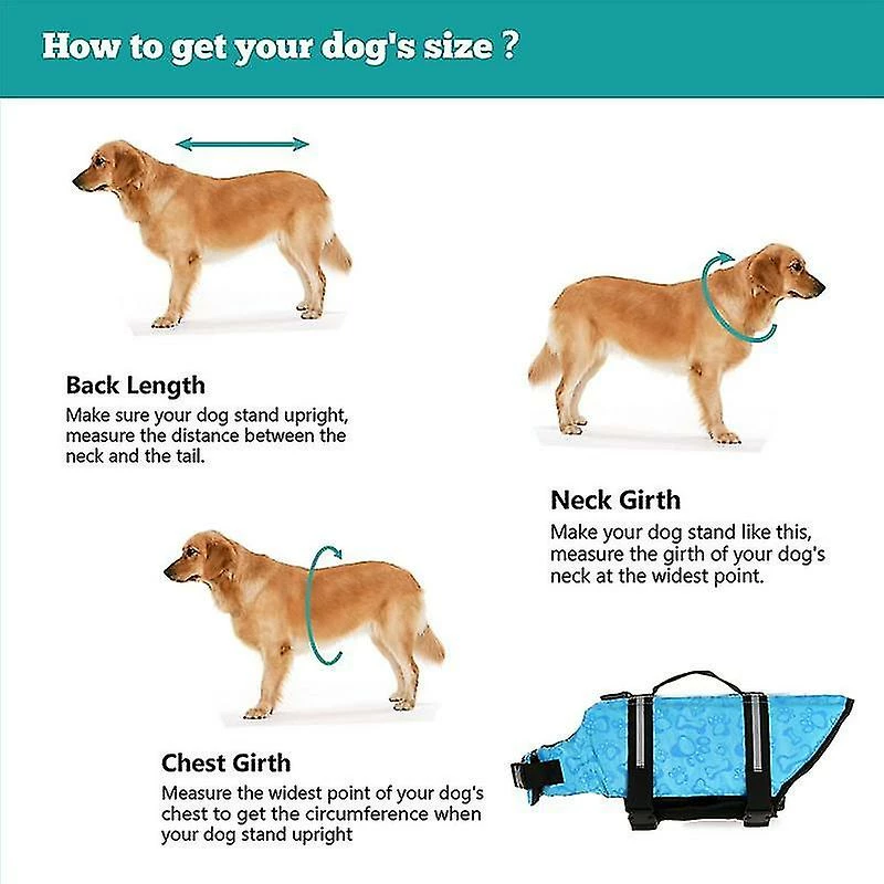 Unbranded Gilet De Sauvetage Pour Chien, Sauveteur Réfléchissant Avec Poignée De Sauvetage, Gilet Flottant Réglable, Aide à La Flottabilité élevée Dog Saver 3 Unbranded Gilet De Sauvetage Pour Chien, Sauveteur Réfléchissant Avec Poignée De Sauvetage, Gilet Flottant Réglable, Aide à La Flottabilité élevée Dog Saver – Image 3