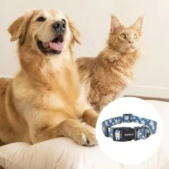 Yskaze Yellow Dog Designs Sports Pattern Colliers 7 Yskaze Yellow Dog Designs Sports Pattern Colliers -nourriture pour chien boutique 537006686 max