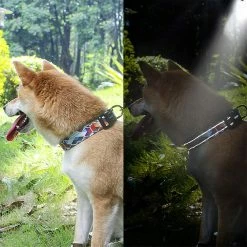 Yskaze Yellow Dog Designs Sports Pattern Colliers 8 Yskaze Yellow Dog Designs Sports Pattern Colliers -nourriture pour chien boutique 537006732 max